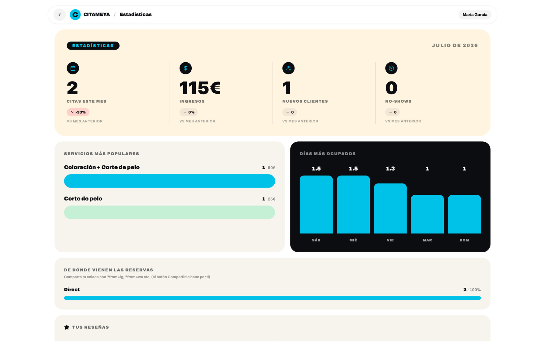 Statistics — bookings, revenue, top services and traffic sources