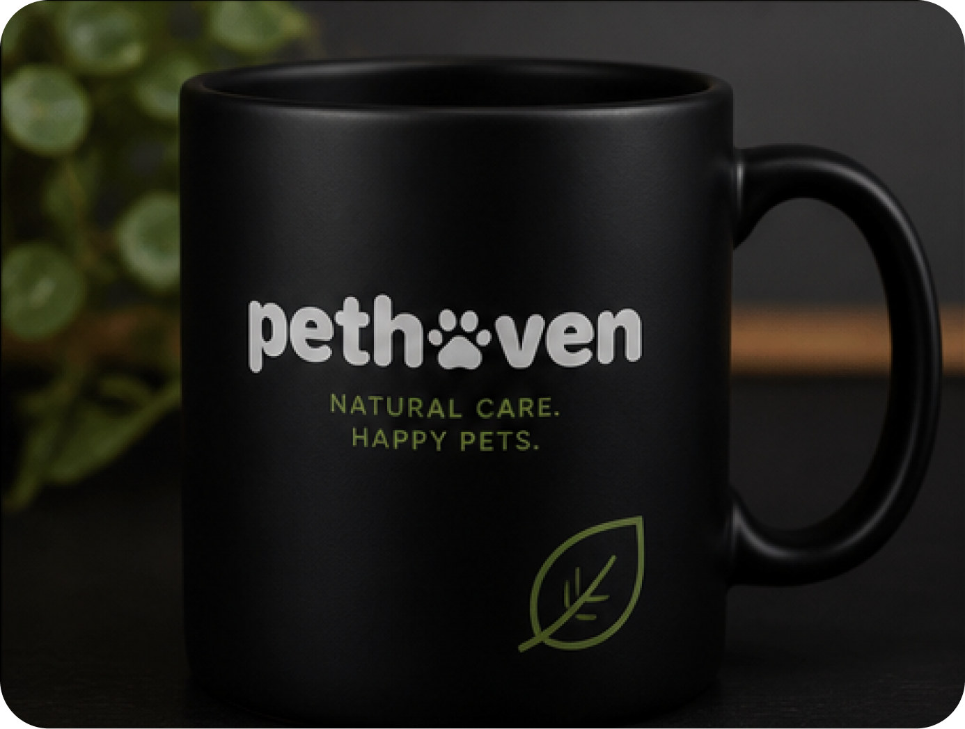 Pethoven branded box