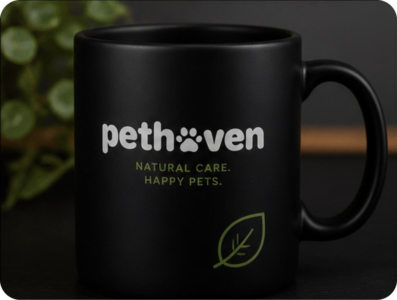 Pethoven branded box